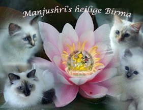 Manjushri-3_1