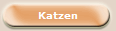 Katzen