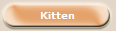 Kitten