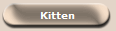 Kitten