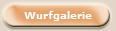 Wurfgalerie