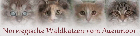 Banner_20