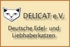 comp_DELICAT_eV (1)