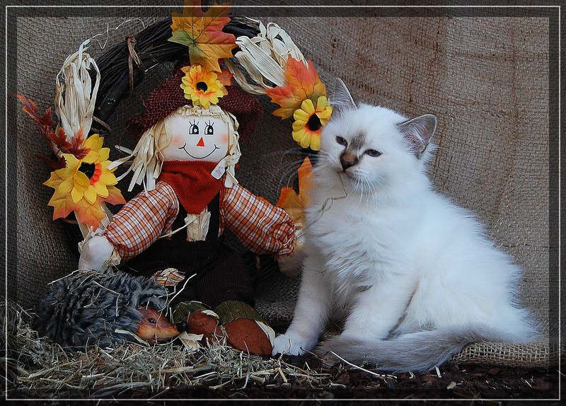 21
