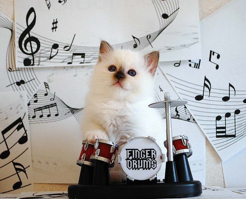 Compressed_2258