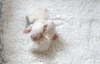 Compressed_2812