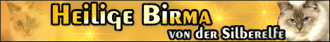 silberelfe_1_